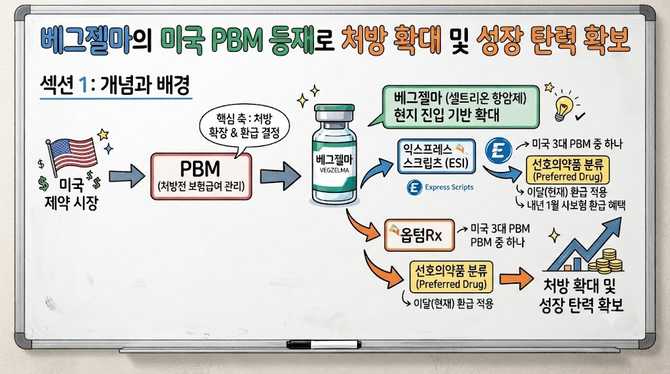 베그젤마의 미국 PBM 등재로 처방 확대 및 성장 탄력 확보