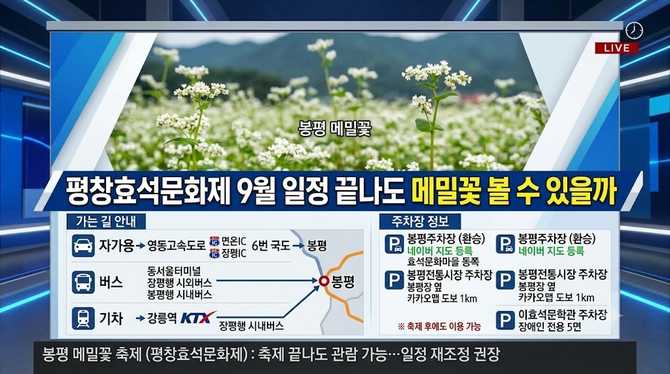봉평 메밀꽃 축제 평창효석문화제 9월 일정 끝나도 메밀꽃 볼 수 있을까? 평창가볼만한곳 (기본정보)