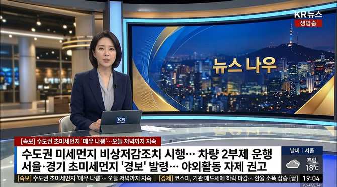 틸란드시아 플렉스오사 관리 비결, 흙 없이 살아남는 이유