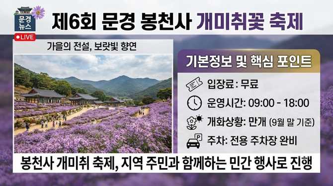 문경 봉천사 개미취 축제 입장료 운영시간 개화 상황 주차 (기본정보)