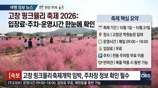 고창 핑크뮬리 축제 2026: 입장료·주차·운영시간 한눈에 확인
